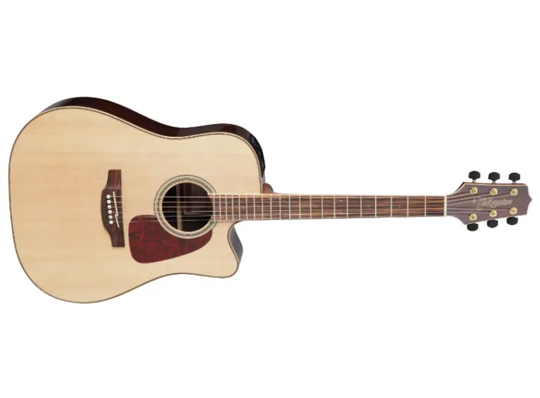Takamine GD93CE-NAT 